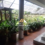 Untitled design (50)