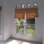 Untitled design (50)