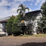 Untitled design (50)