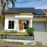 Untitled design (50)