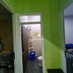 Untitled design (50)