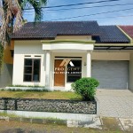 Untitled design (51)