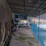 Untitled design (52)