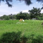 Untitled design (53)