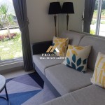 Untitled design (54)