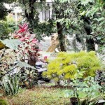 Untitled design (56)