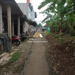 Untitled design (56)