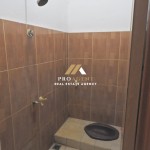 Untitled design (57)