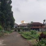 Untitled design (58)