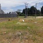 Untitled design (60)