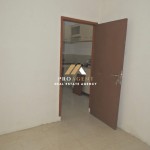 Untitled design (61)