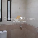 Untitled design (61)