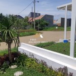 Untitled design (61)