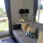 Untitled design (65)