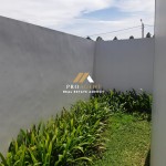 Untitled design (66)