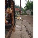 Untitled design (67)