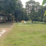 Untitled design (70)