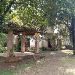 Untitled design (71)