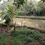 Untitled design (74)