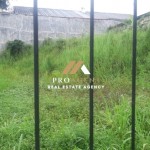 Untitled design (99)