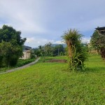 WhatsApp Image 2024-02-01 at 13.21.31_f7f24856