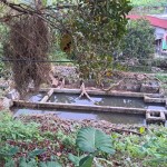 WhatsApp Image 2024-02-01 at 13.21.32_29b850fa