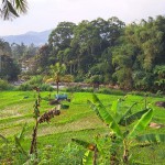 WhatsApp Image 2024-02-01 at 13.21.32_5f68207b