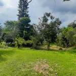 WhatsApp Image 2024-02-01 at 13.21.34_473f9157