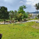 WhatsApp Image 2024-02-01 at 13.21.34_4f6c532b