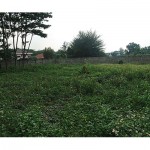 SAM_0029