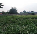 SAM_0030