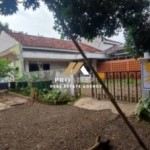 Untitled design (53)