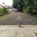 Untitled design (55)