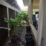 Untitled design (56)