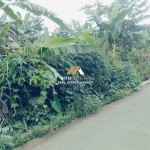 Untitled design (59)