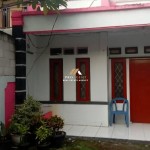 Untitled design (6)