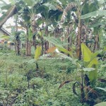 Untitled design (61)