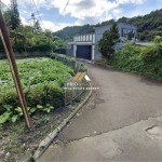 Untitled design (65)