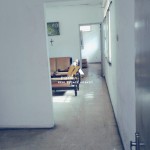 Untitled design (66)