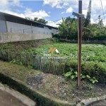 Untitled design (69)