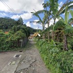 Untitled design (71)