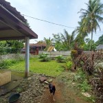 Untitled (1288 x 966 px) (1)