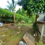 Untitled (1288 x 966 px)