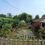 Untitled (1288 x 966 px) (2)