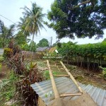 Untitled (1288 x 966 px) (3)