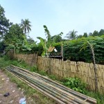 Untitled (1288 x 966 px) (4)