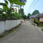 Untitled (1288 x 966 px) (5)