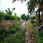 Untitled (1288 x 966 px) (6)