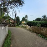 Untitled (1288 x 966 px) (7)