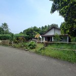 Untitled (1288 x 966 px) (8)